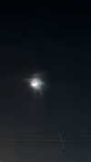 cellow111 Altpins Profile Picture