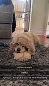 lew12001 Altpins Profile Picture