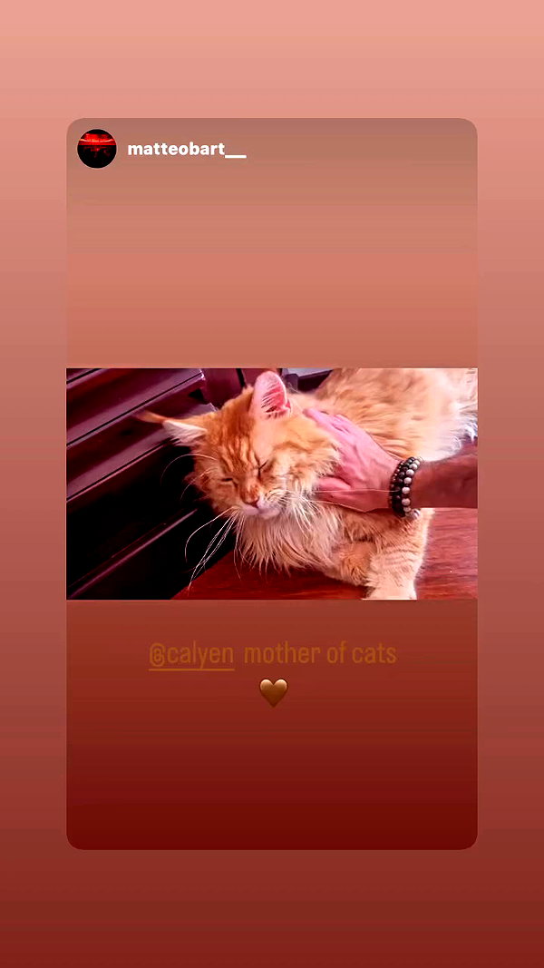 calyen archive video preview