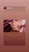 calyen Altpins Profile Picture