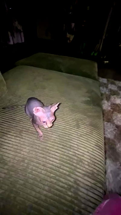 zommmbri zommmbri archive video