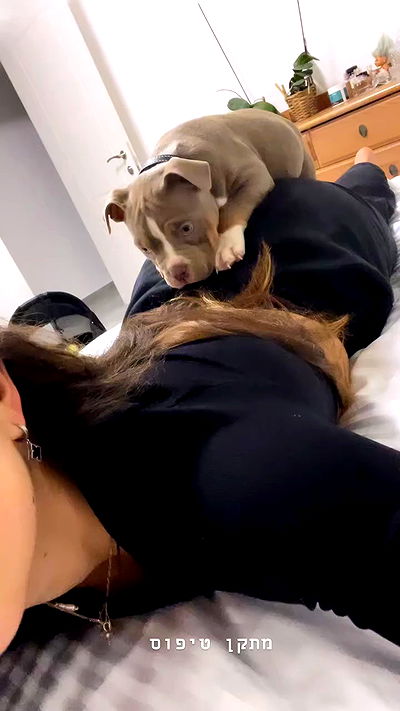 kesemgreenyer kesemgreenyer archive video