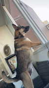 vadim_evs Altpins Profile Picture