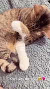 kriiizellda Altpins Profile Picture