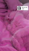 ifkissescouldleavecuts Altpins Profile Picture