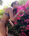 sommerray Altpins Profile Picture