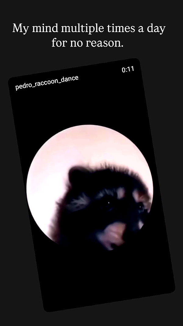 vexxedvulpine88 archive video preview