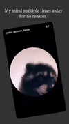 vexxedvulpine88 Altpins Profile Picture
