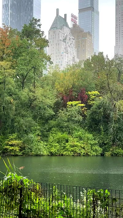 iambohema.v2 iambohema.v2 archive video