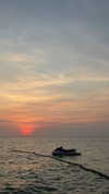 danchiii6403__ Altpins Profile Picture