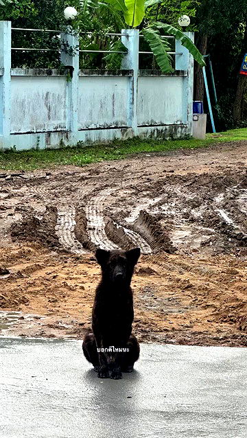 oqr0_ oqr0_ archive video