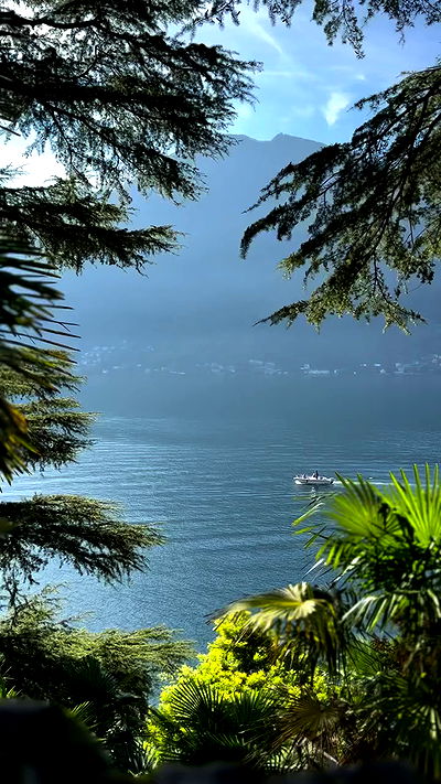 biton__adi biton__adi archive video