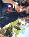 xunniexoo Altpins Profile Picture