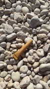 kyliejenner Altpins Profile Picture