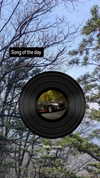 zz.eazoning Altpins Profile Picture