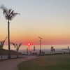 eloise_wensley Altpins Profile Picture