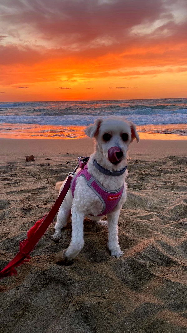 feelbetterinmysweater archive video preview