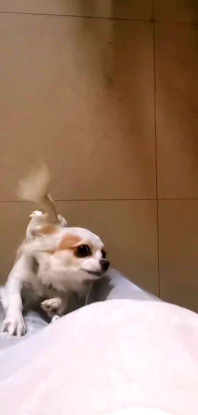 tinapavlov.sky tinapavlov.sky archive video