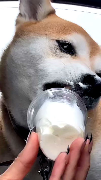 zommmbri zommmbri archive video