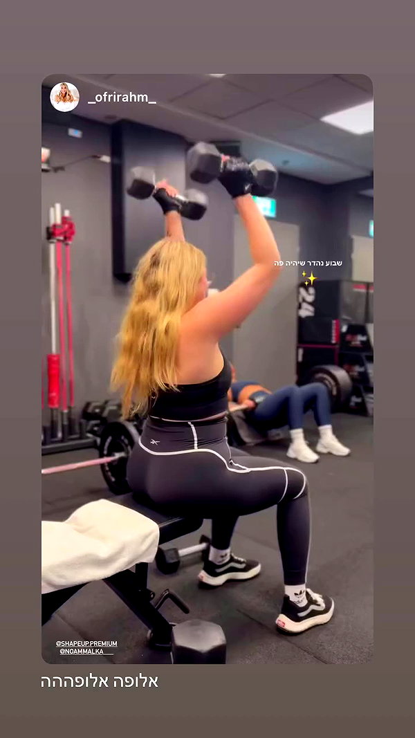 noammalka___ archive video preview