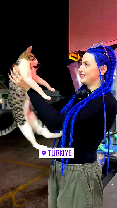 annfigma annfigma archive video