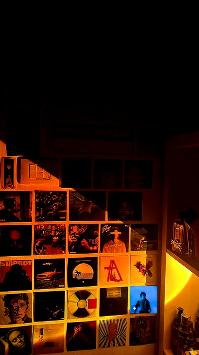 tuliprivet tuliprivet archive video