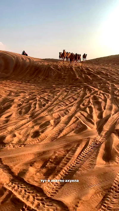 annfigma annfigma archive video