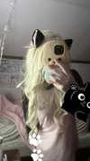 legrwmers Altpins Profile Picture