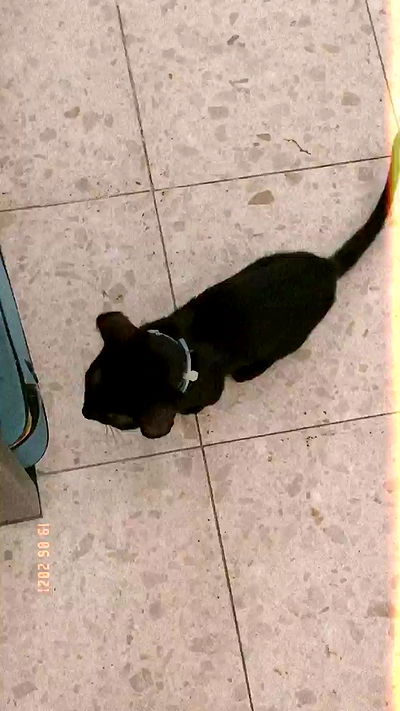 feelbetterinmysweater feelbetterinmysweater archive video