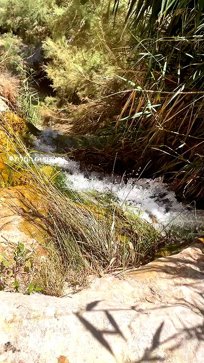 liad.arazi liad.arazi archive video