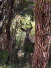 annazak12 Altpins Profile Picture