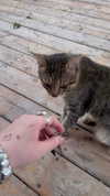 karin_orhov Altpins Profile Picture
