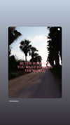 orcoheen Altpins Profile Picture