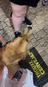 mittzaa_ Altpins Profile Picture