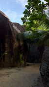 noa_mendel_ Altpins Profile Picture