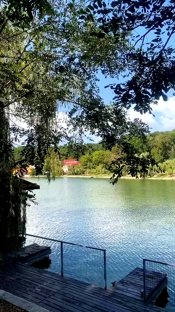 alisa.paigin archive video preview