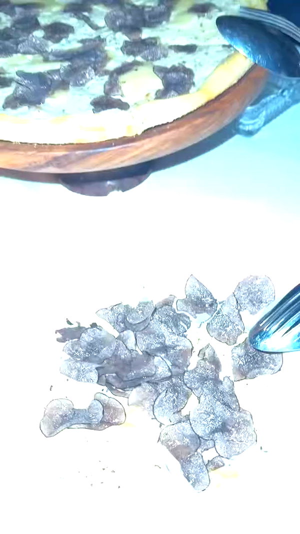 diana_tal_ archive video preview