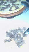diana_tal_ Altpins Profile Picture