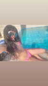 osher_yakir Altpins Profile Picture