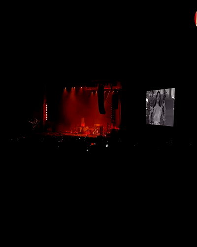 lilarosepalaza lilarosepalaza archive video