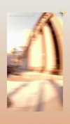 _batzir_haanavim Altpins Profile Picture