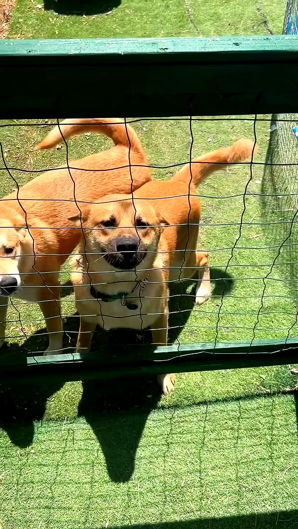 feelbetterinmysweater archive video preview