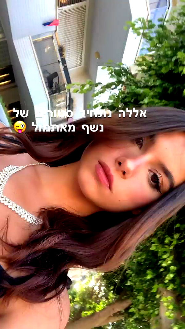 rene2141 archive video preview