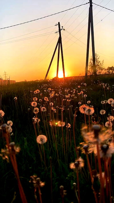 nyityam nyityam archive video