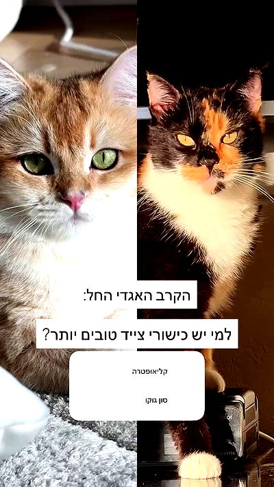 itsilanosh itsilanosh archive video