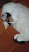 goddessoffxck2 Altpins Profile Picture