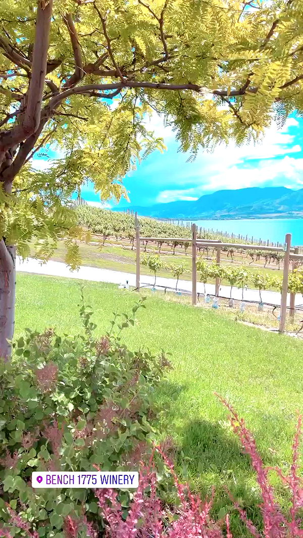 _dfoxx archive video preview