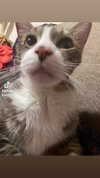 olivialiiias Altpins Profile Picture