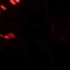 newpoort Altpins Profile Picture