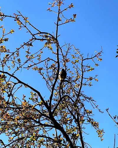 shunli__mei shunli__mei archive video